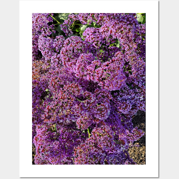 Purple Flowers Photography My Wall Art by ShubShank